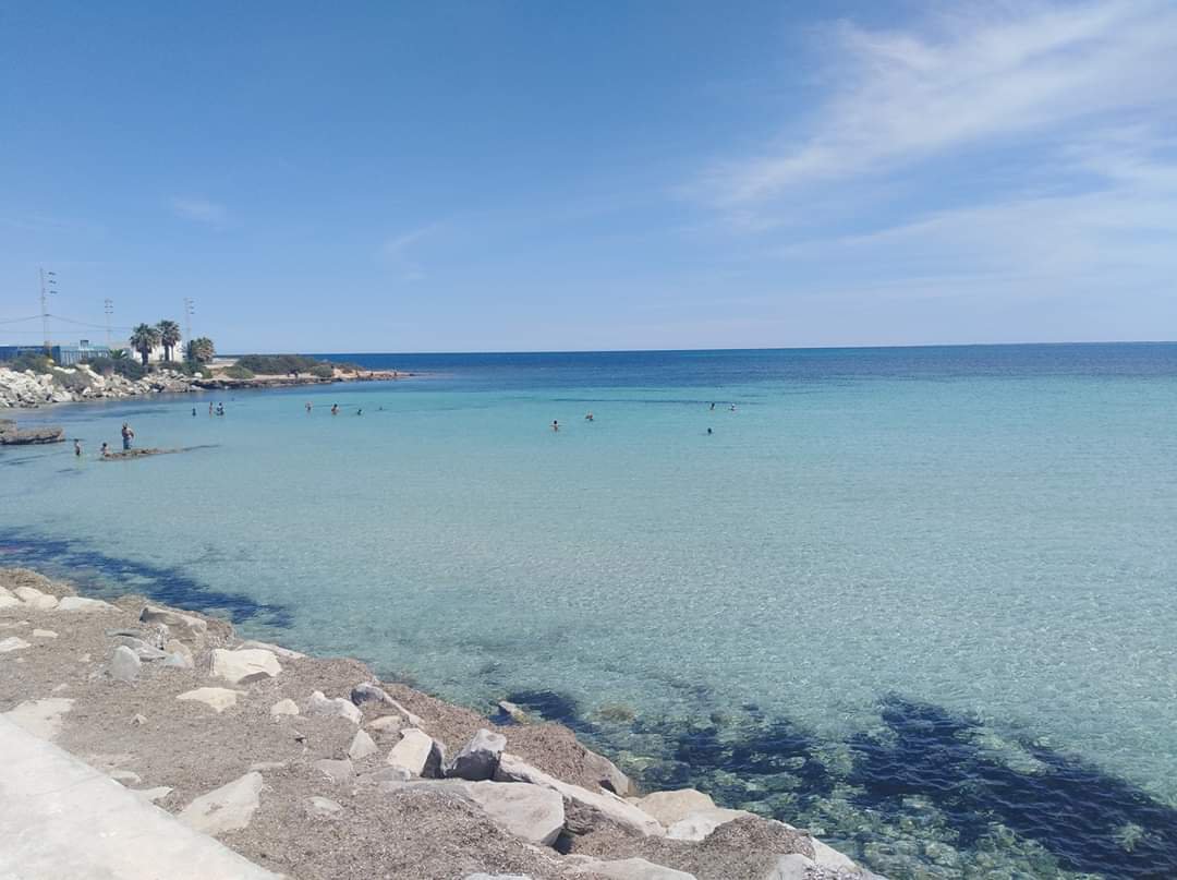 المهدية: انطلاق تنفيذ مشروع إقليمي لحماية الشواطئ من التلوث