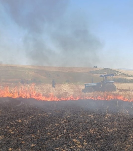 جندوبة: حريق يأتي على حوالي 1،5 هك من الحبوب