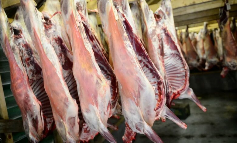 شركة اللحوم تنطلق في اختيار 5 شبان لبعث نقاط بيع لحوم حمراء تحت التسمية " اللحوم ماركت"