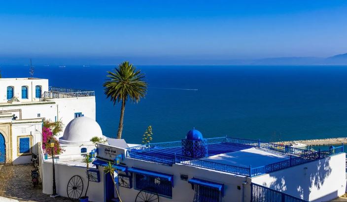 وزير السياحة يدعو إلى  تكثيف الجهود في مجال التّرويج الرّقمي بالتعاون مع صانعي المحتوى والمؤثرين