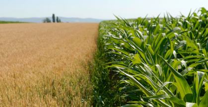 ArdhII-Tounes : un plan sur 15 ans pour une agriculture tunisienne résiliente et durable