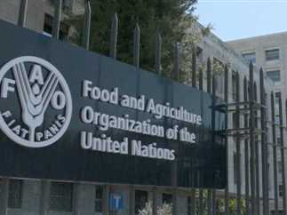 الفاو: شهر ماي سجل تراجعا في أسعار الغذاء العالمية