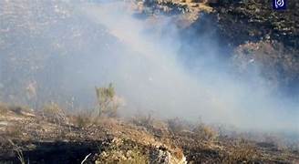 الفحص: حريق يأتي على 5 هكتارات من الشعير و 250 شجرة زيتون في طور النمو بوادي الخضراء