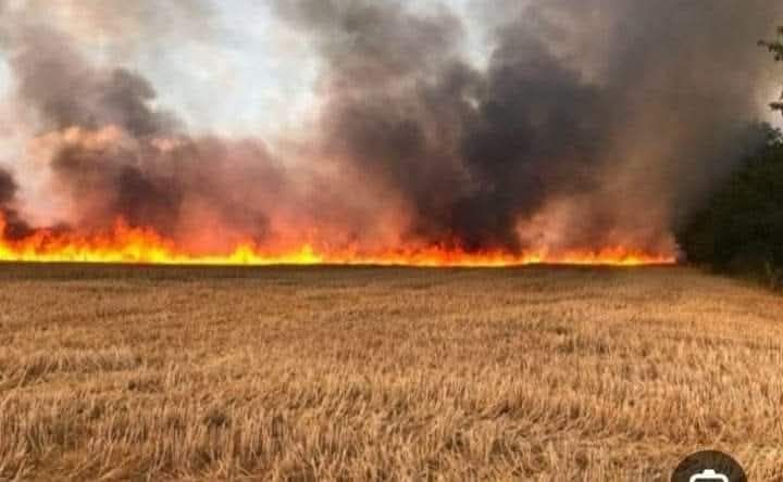 منوبة: اخماد حريقين أتيا على مساحة 27 هكتارا من الحبوب والحصيدة بالبطان