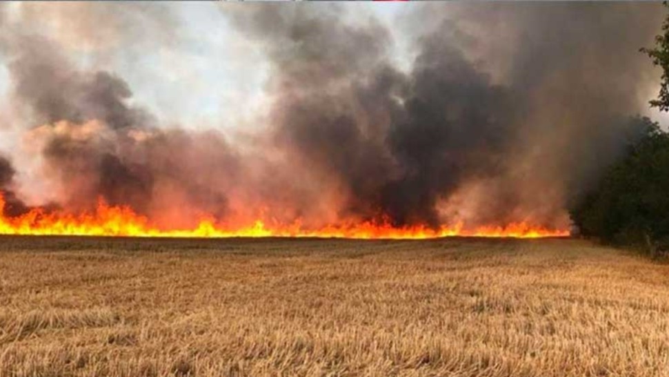 منوبة: إخماد حريقين أتيا على 27 هكتارا من الحبوب والحصيدة بالبطان