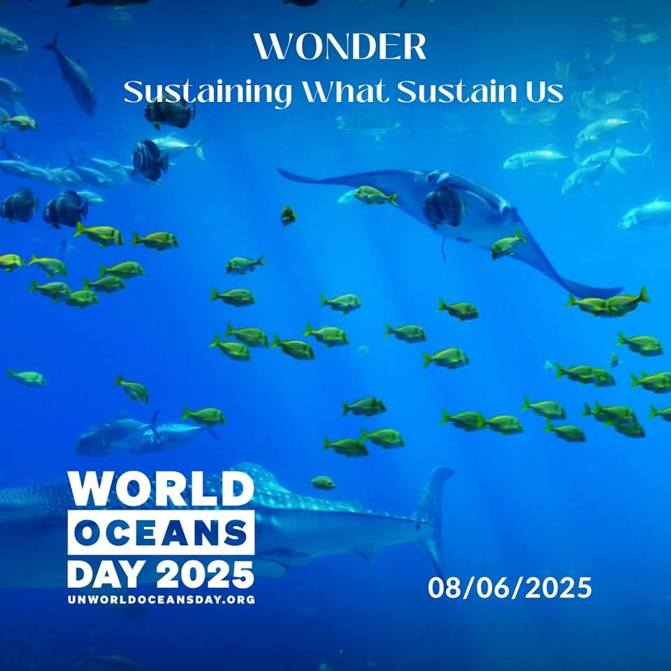 تونس تحتفــل باليوم العالمي للمحيطات