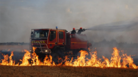 27 hectares de cultures partis en fumée dans deux incendies à La Manouba