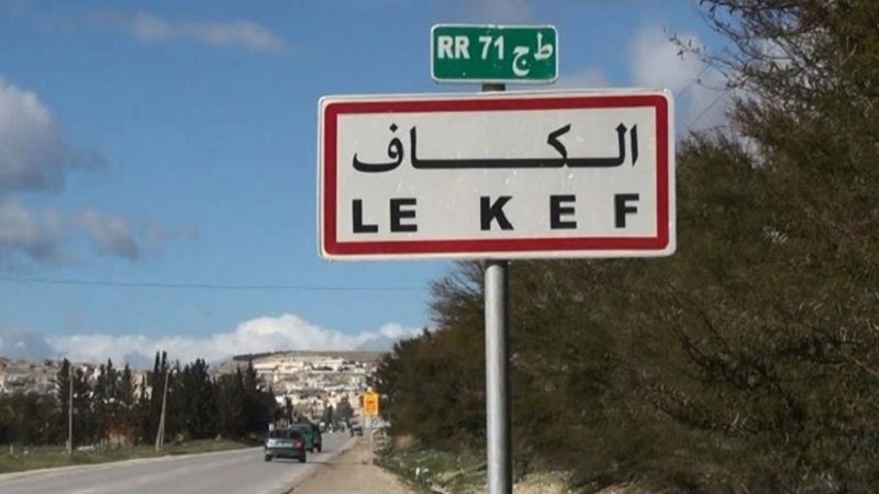 الكاف: الانطلاق في تنفيذ خطة جهوية لحماية الثروة الغابية من الحرائق خلال هذه الصائفة 