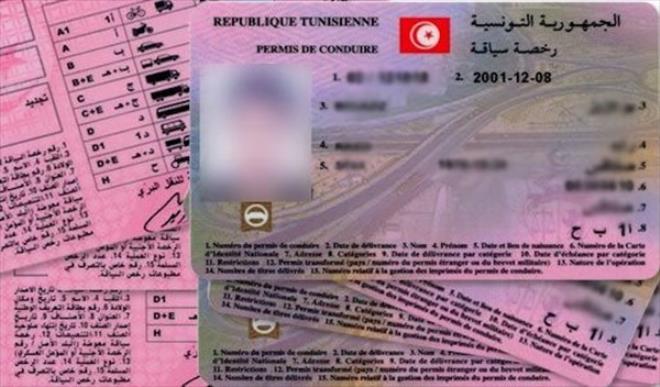 دخول اتفاق الاعتراف المتبادل برخص السياقة بين تونس وإيطاليا حيز التطبيق بداية من 20 جويلية القادم