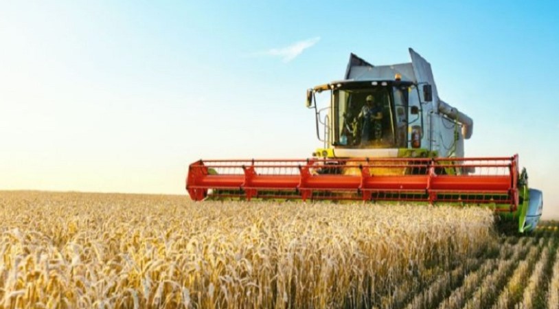 ’’ كاتب الدولة لدى وزير الفلاحــة:  ’’التقديرات الأولية لصابة الحبوب تُعادل 20 مليون قنطارا  هذا الموسم 