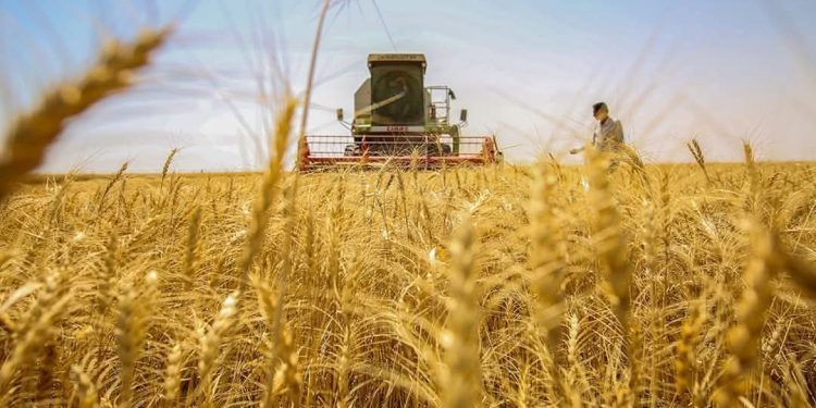 موسم الحصاد: الحماية المدنية تُقدّم جملة من الإجراءات الوقائيّة