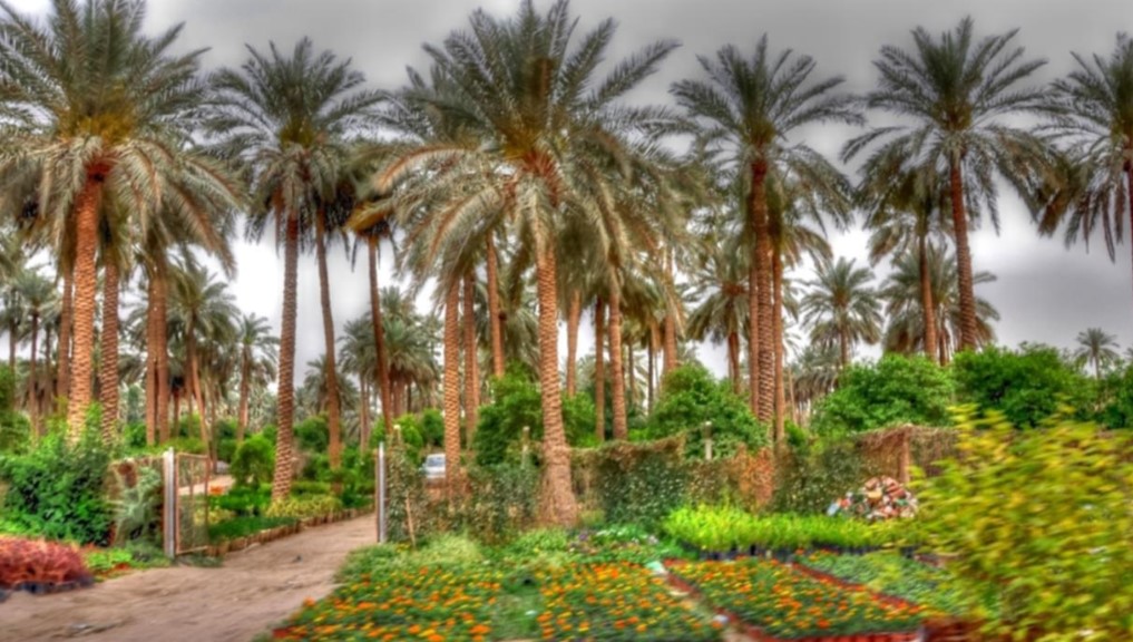 وزير الدفاع يشرف على اجتماع مجلس مؤسسة ديوان رجيم معتوق لتنمية الجنوب والصحراء