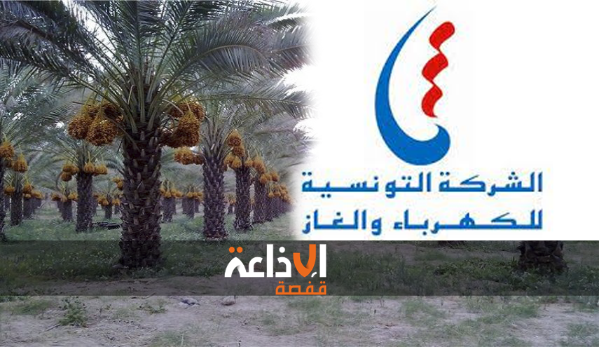 مديونية مجامع التنمية الفلاحية بولاية توزر تجاه الشركة التونسية للكهرباء والغاز  تفوق ال 40 مليون دينار 
