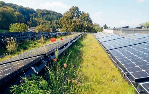 VERT'DEMAIN' : un nouveau programme pour booster l'écologie par la recherche scientifique