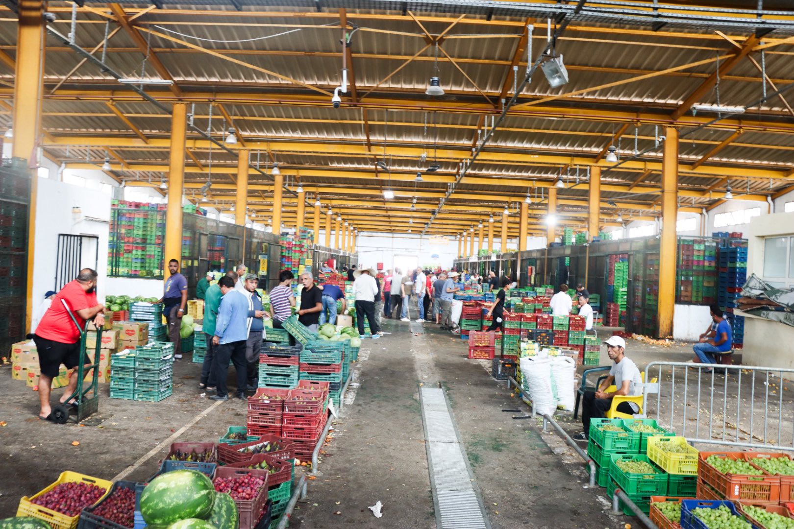 وزير التجارة يؤدي زيارات ميدانية تفقدية لعدد من المنشآت التجارية والاقتصادية