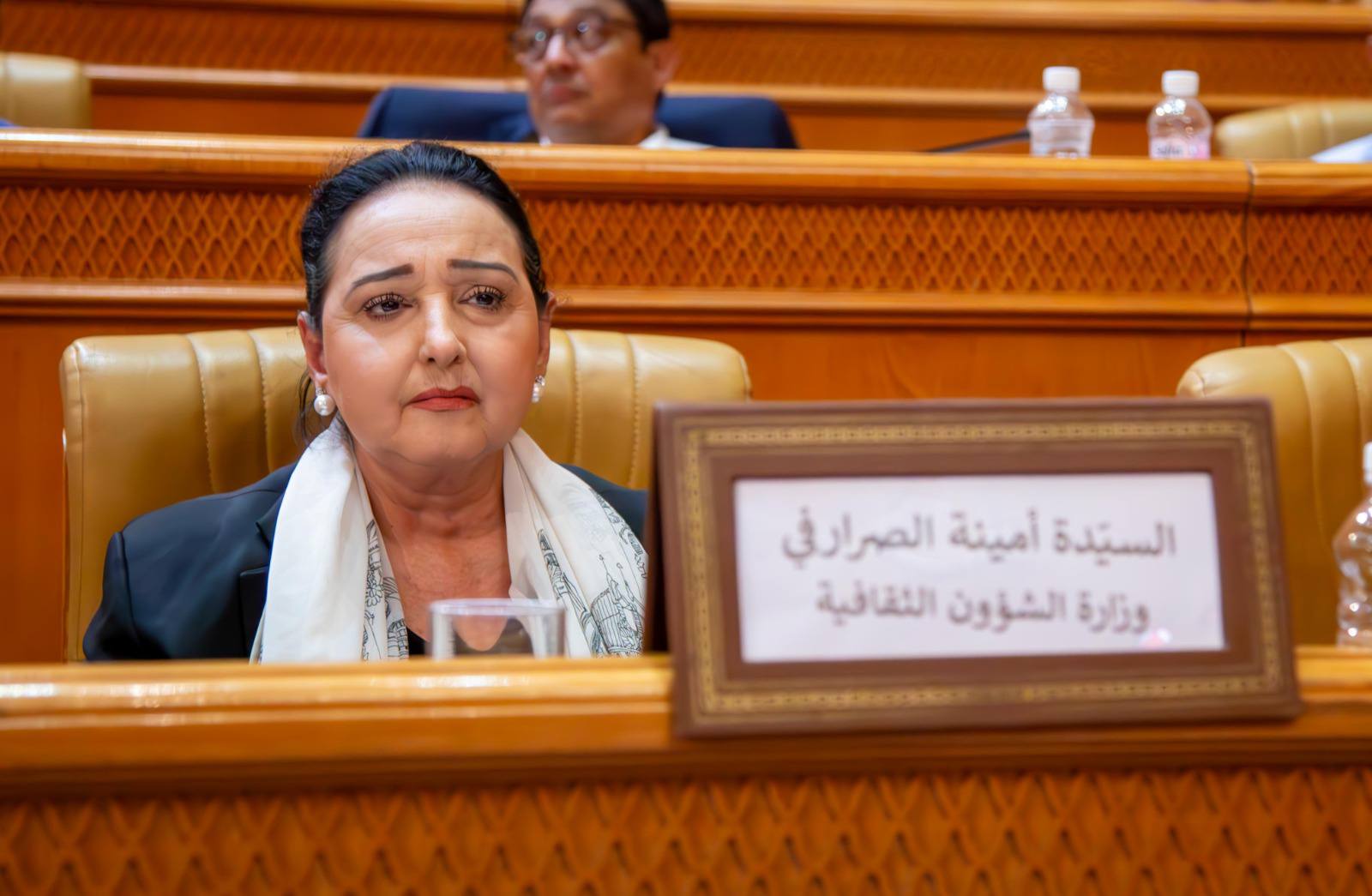 في جلسة عامة أمام المجلس الوطني للجهات والأقاليم: الصرارفي تستعرض استراتيجية عمل وزارة الشؤون الثقافية ومشاريعها