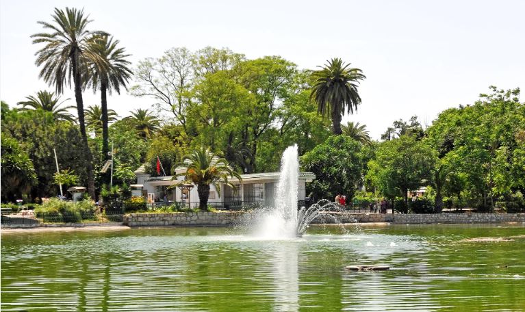 اليوم: المكتبة الخضراء تفتح أبوابها من جديد بحديقة البلفدير