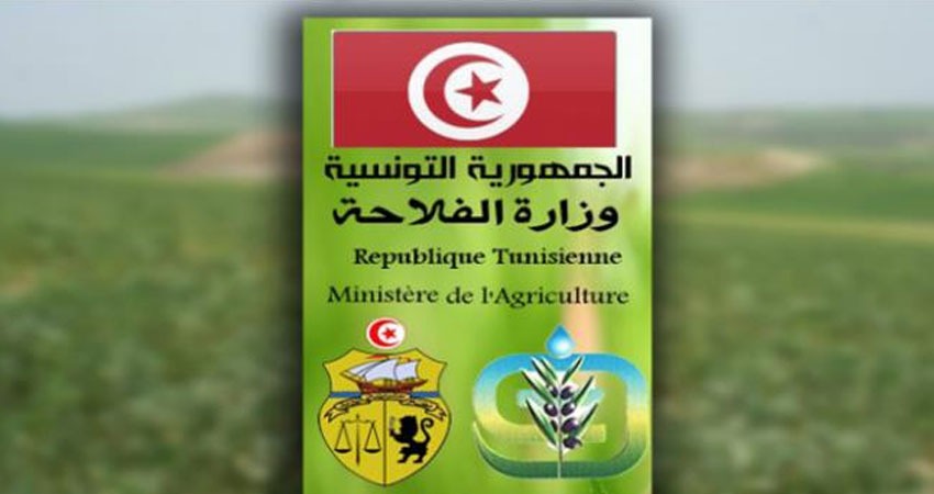 وزير الفلاحة يؤكد اهمية التمشي الجديد للتصرف في صندوق تعويض الأضرار الفلاحيّة النّاجمة عن الجوائح الطبيعيّة