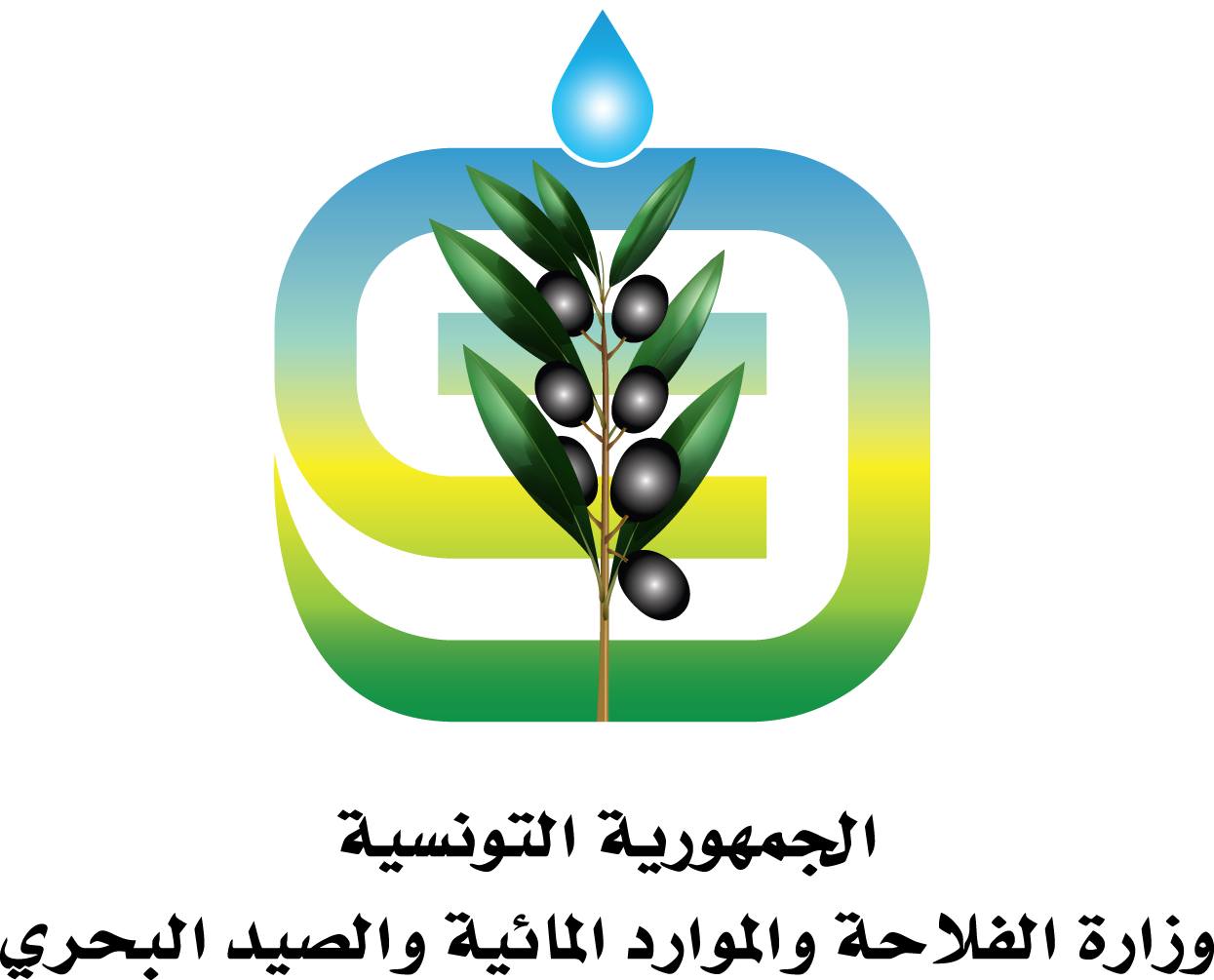 وزارة الفلاحة تحذر من خطر مرض "بومريرة" وتوصي بعدد من الإجراءات الوقائية.