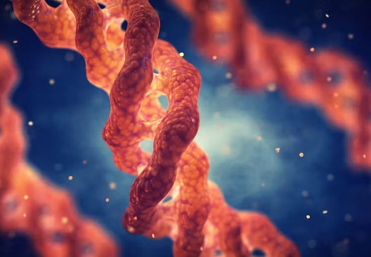 اكتشاف بروتينات قد تسهم في علاج السرطان وإبطاء الشيخوخة