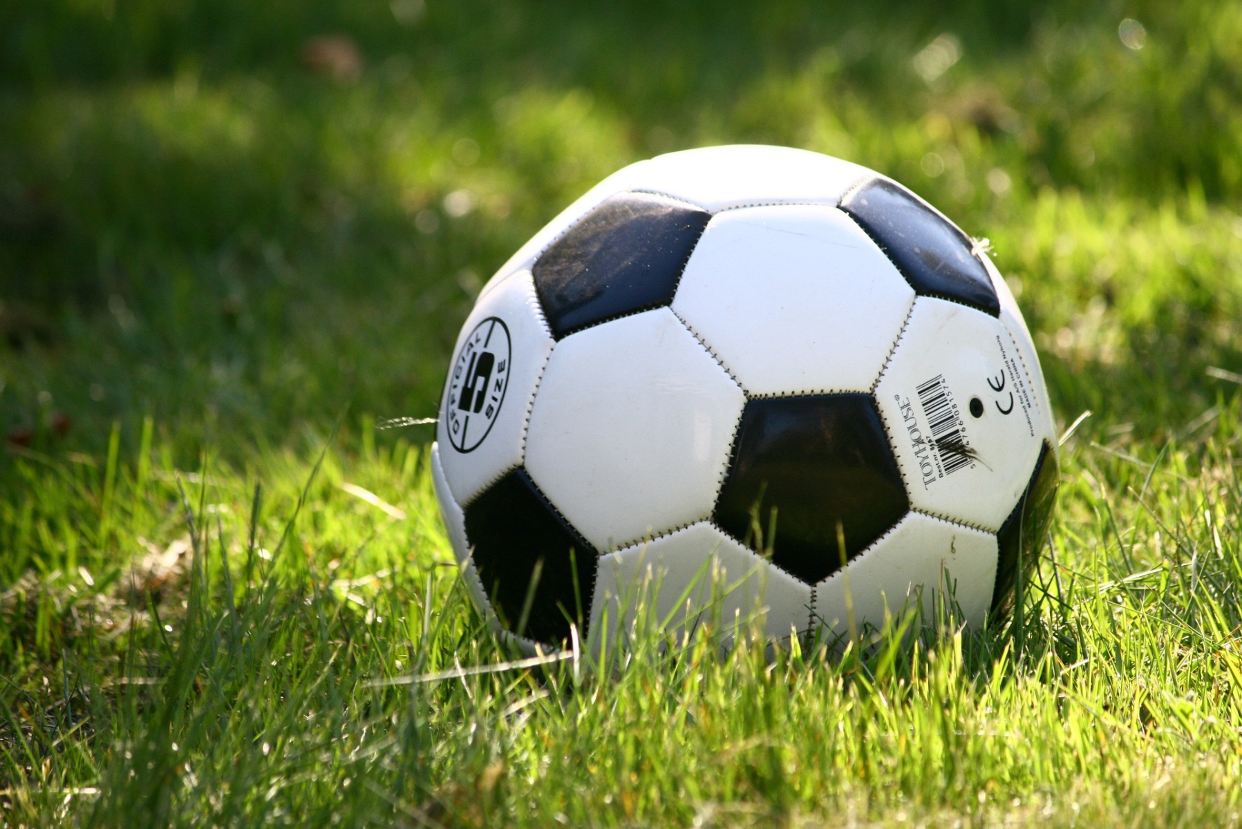 اللاعب أشرف بن ضياف يجدد العهد مع الترجي الجرجيسي