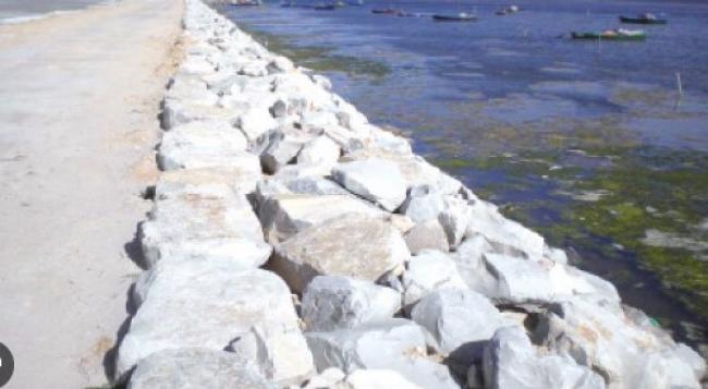 حمدي شبعان : يجب اتخاذ جملة من القرارات العاجلة من السلط المعنية لتفادي مزيد تلوث خليج المنستير
