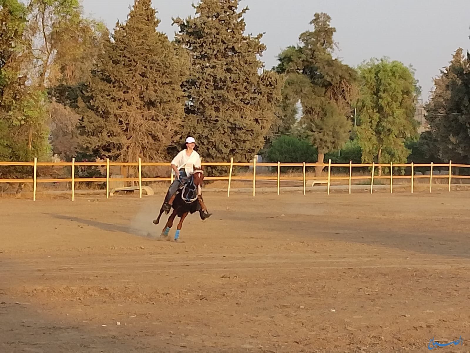 القصربن : شابة تُحوّل حلم الطفولة إلى مشروع واقعي عبر بعث أوّل نادٍ للفروسية وركوب الخيل