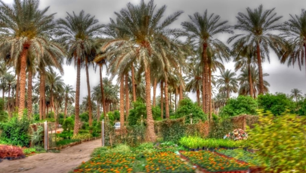  ديوان رجيم معتوق لتنمية الجنوب والصحراء يعلن  الشروع قريبا في استغلال البئر الواقعة بين ولايتي قبلي وقفصة لتركيز بيوت محمية.