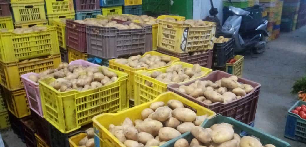 بنزرت: حجز 8.8 أطنان من البطاطا وضخها في المسالك القانونية