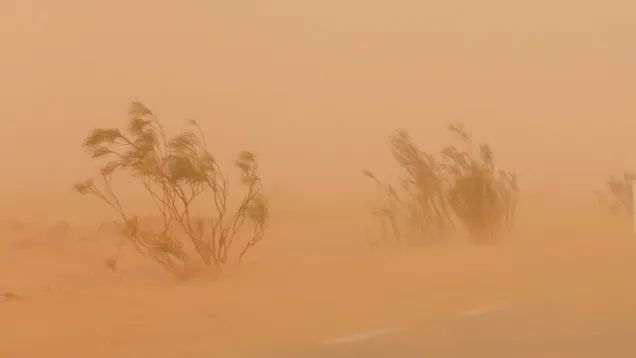 مهندس بالرصد الجوي حول العاصفة الرملية بقبلي وتوزر: الرياح القوية تسببت في انخفاض مدى الرؤية الأفقية ولا شيء يُثير الخوف
