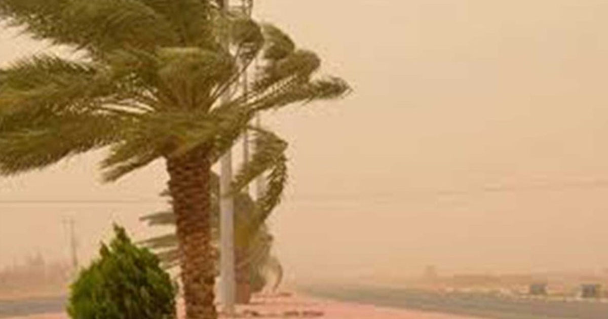 بعد ظهر اليوم: أمطار  غزيرة بـ5 ولايات ورياح قوية مثيرة للرمال والأتربة في الجنوب الغربي