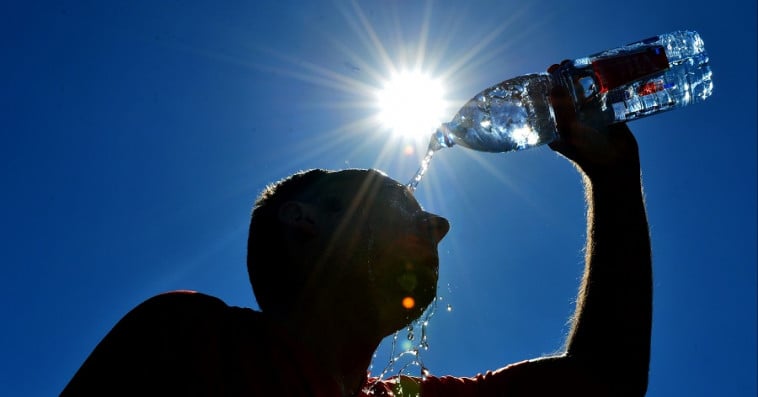 Canicule : attention à l’hydratation pour préserver vos reins