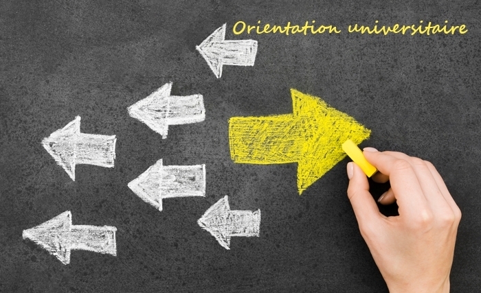 Orientation universitaire : Coup d’envoi des journées d’information pour les nouveaux bacheliers
