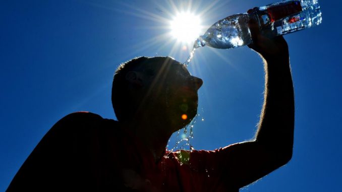 Canicule : attention à la déshydratation pour préserver vos reins