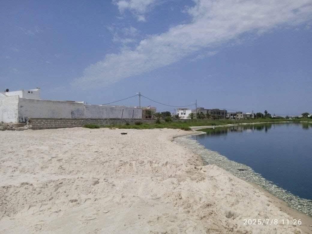 الهوارية: أهالي منطقة صاحب الجبل يطالبون بحلول للتلوث البيئي الناتج عن سكب المياه الصناعية الملوثة