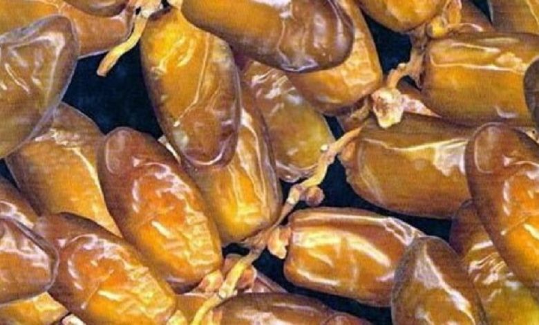 تراجع عائدات صادرات التمور بنسبة 3،8 بالمائة إلى موفى جوان 2025