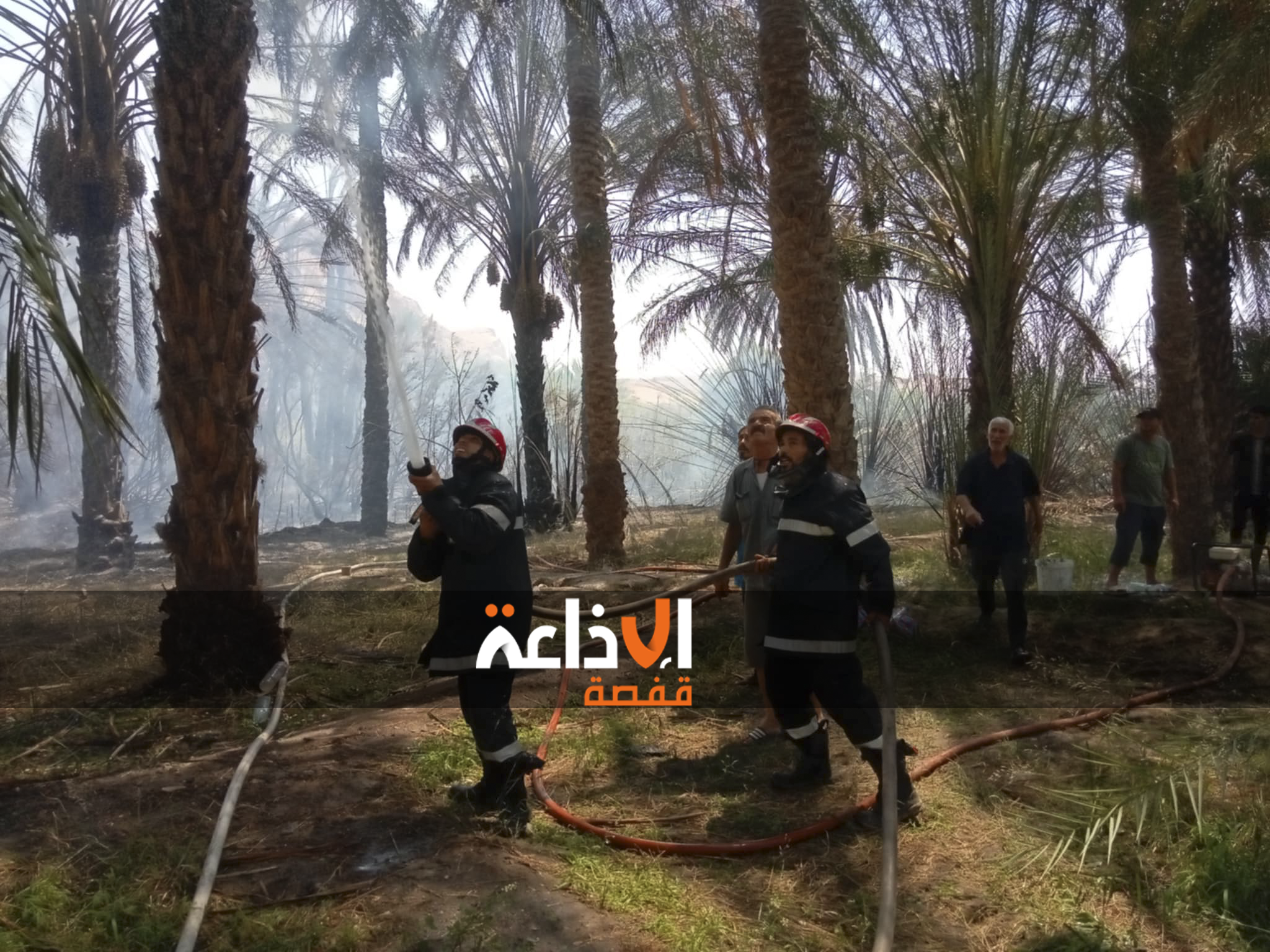   اتحاد الفلاحين بتمغزة يطالب بتركيز فرع للحماية المدنية بالمنطقة للتدخل خلال اندلاع الحرائق