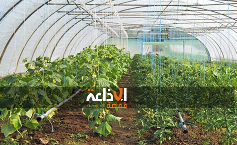 المركز الفني للزراعات الجيوحرارية يعتزم إحداث وحدة تابعة له بولاية قبلي