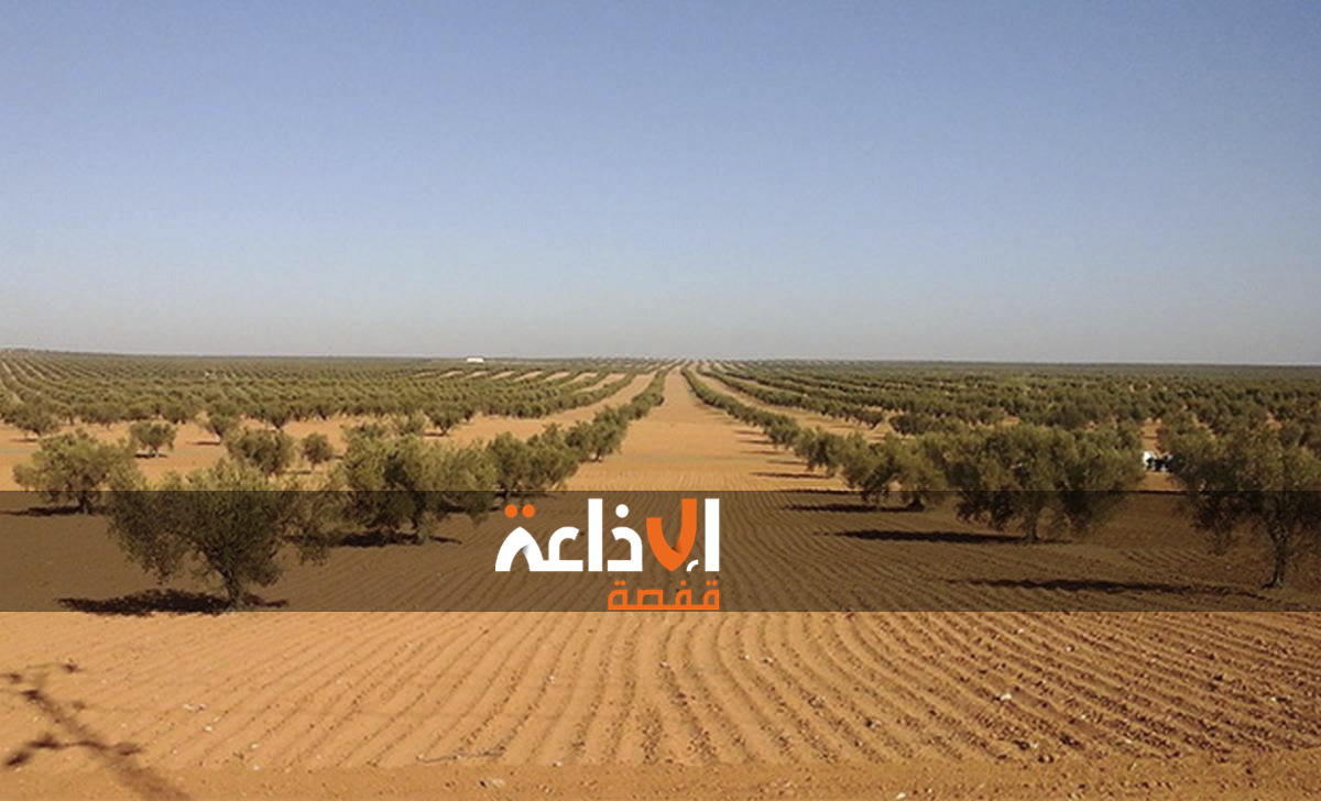 تواصل الجهود لاعادة تشغيل مدجنتين و احداث بئر عميقة بالمركب الفلاحي قفصة - السند 