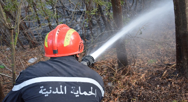 الحماية المدنية: 221 تدخلا لإطفاء الحرائق في الأربع والعشرين ساعة الماضية