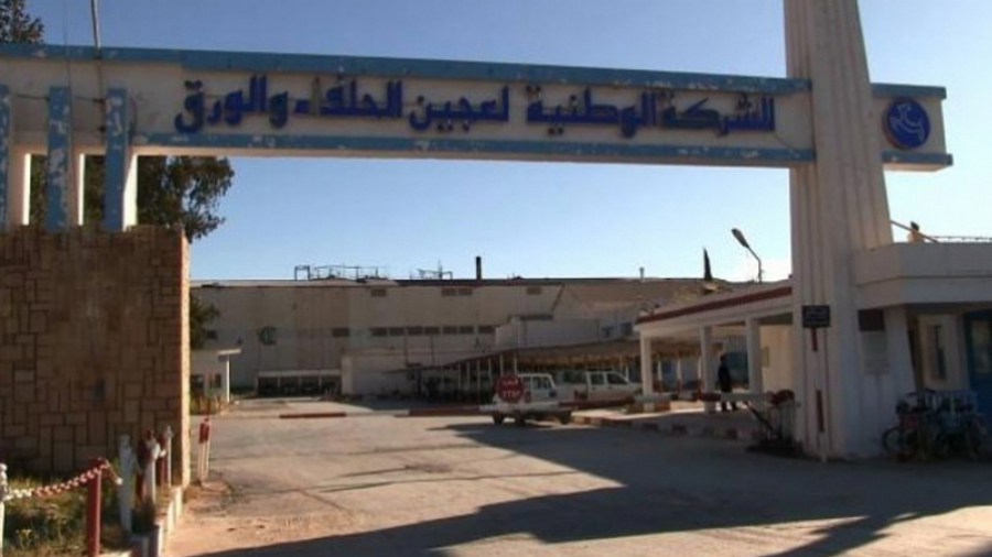 ر م ع شركة عجين الحلفاء والورق: القصرين: نستعد لإعادة الهيكلة والإستثمار