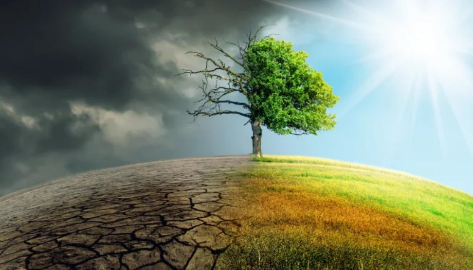 محكمة العدل الدولية تحذر من تهديد التغير المناخي لحياة الإنسان