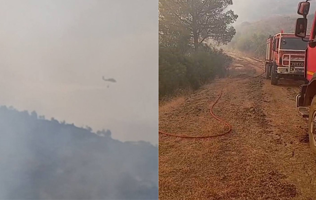 باجة: الحماية المدنية تواصل إخماد حريق جبل أولاد علية بدعم من جيش الطيران وإلا الجيش الوطني