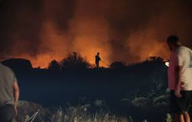 Vents violents et chaleur : un incendie se propage de Siliana à Zaghouan, 200 hectares partis en fumée
