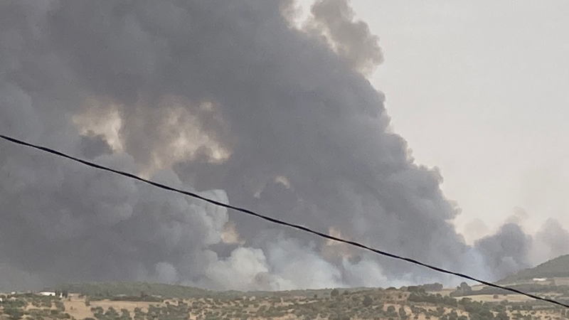سليانة:  السيطرة على حريق جبل بلوطة وتواصل عمليةالتبريد واخماد بعض الجيوب النارية 