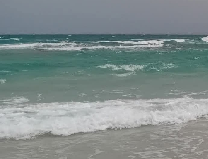 البحر شديد الإضطراب الى هائج بخليجي تونس والحمامات السبت