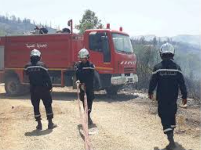 Incendies en Tunisie : la Protection Civile contrôle les feux malgré vents et terrain difficile