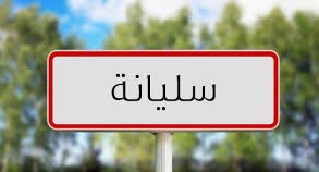 سليانة: استفادة أكثر من 400 شاب وشابة من الأنشطة الصيفية الشبابية