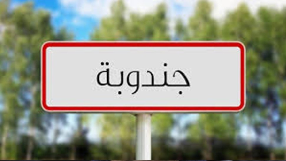 جندوبة: اتخاذ جملة من التدابير و الاجراءات لاستئناف أشغال مشروع المحاور الكبرى للتزود  بالماء الصالح للشرب بعد فض العديد من الاشكاليات العقارية 