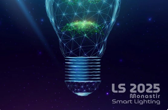 ديسمبر المقبل: تونس تحتضن المؤتمر الدولي للإضاءة الذكية المستدامة